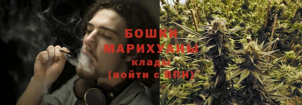 прущие крисы Балахна
