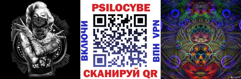 как найти наркотики  Белёв  Псилоцибиновые грибы GOLDEN TEACHER 